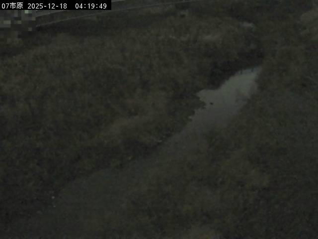 最新監視カメラ画像