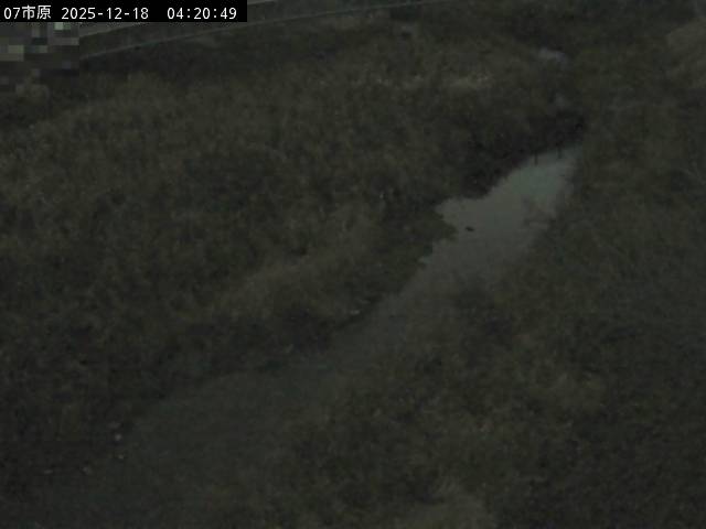 最新監視カメラ画像