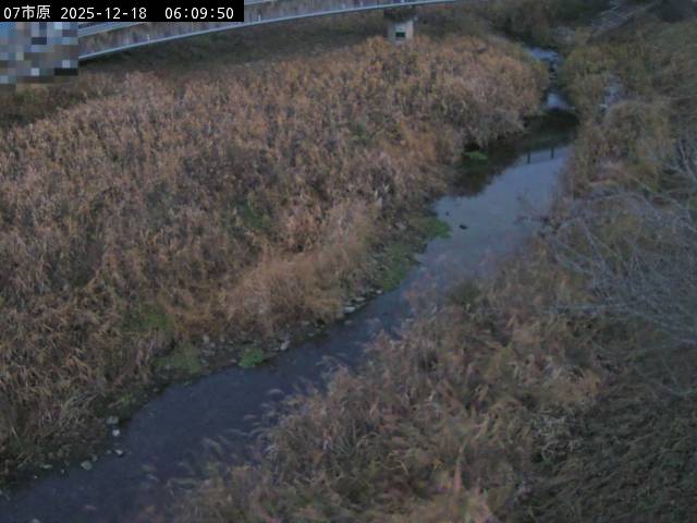 最新監視カメラ画像