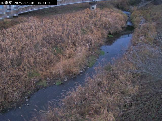 最新監視カメラ画像