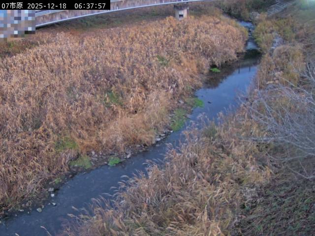 最新監視カメラ画像