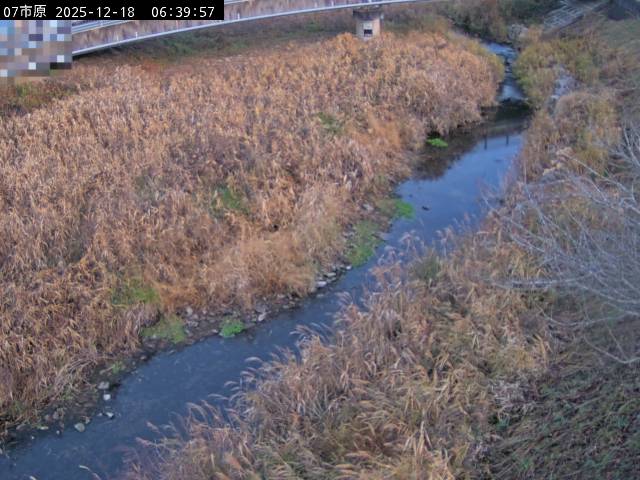 最新監視カメラ画像