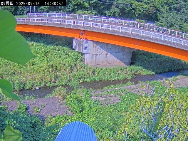 最新監視カメラ画像