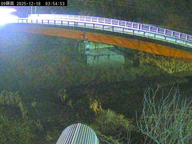 最新監視カメラ画像