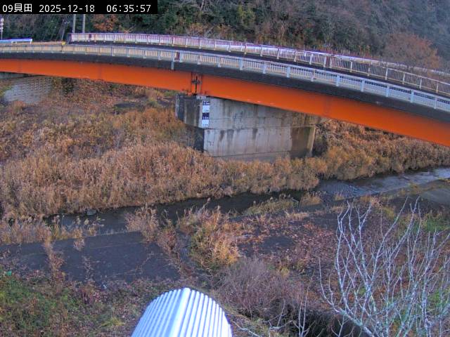 最新監視カメラ画像