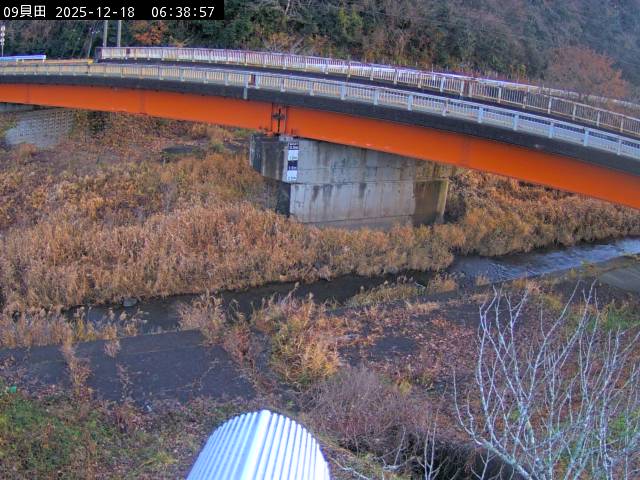 最新監視カメラ画像