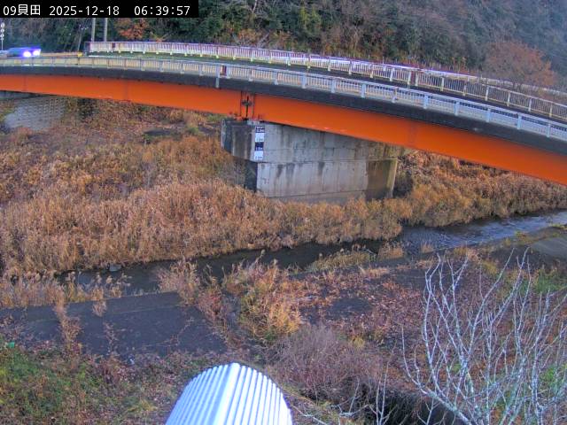 最新監視カメラ画像