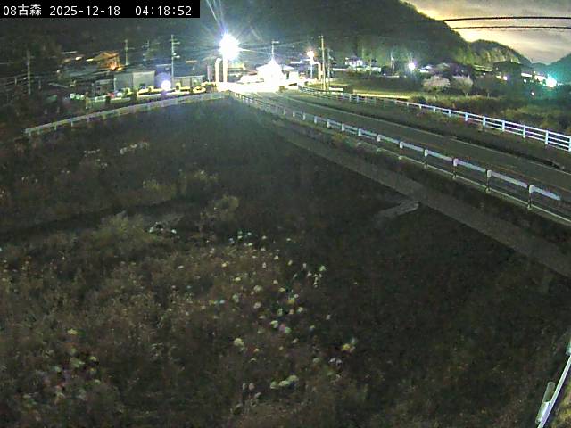 最新監視カメラ画像