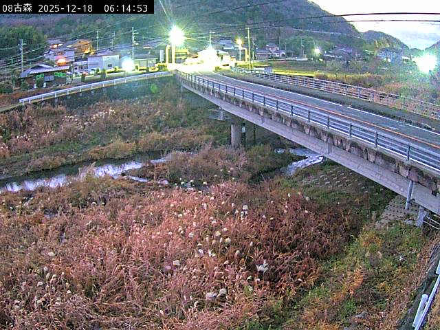 最新監視カメラ画像