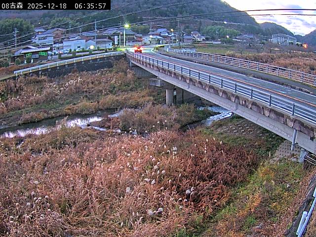 最新監視カメラ画像