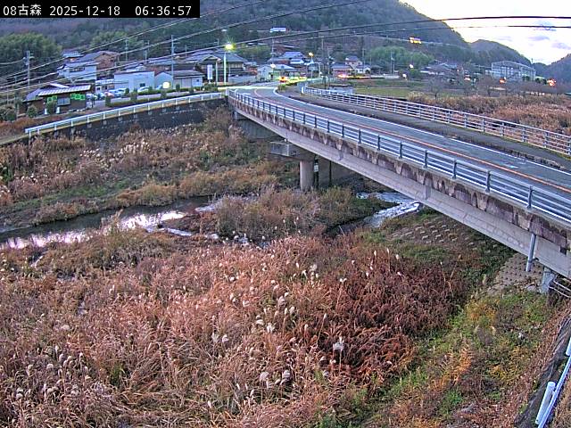 最新監視カメラ画像