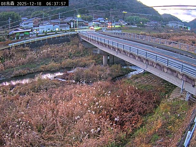 最新監視カメラ画像