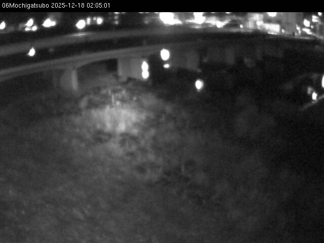 最新監視カメラ画像