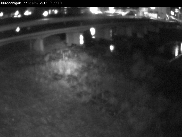 最新監視カメラ画像