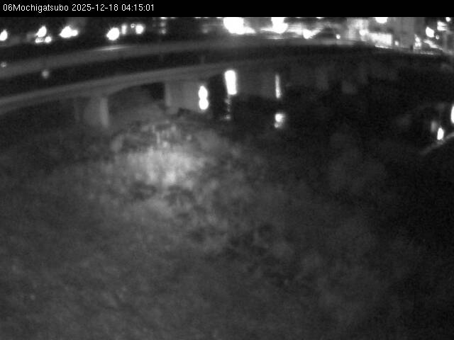 最新監視カメラ画像