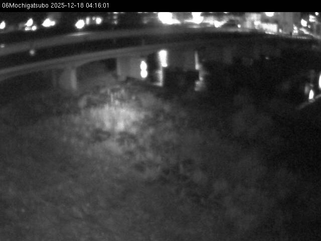 最新監視カメラ画像