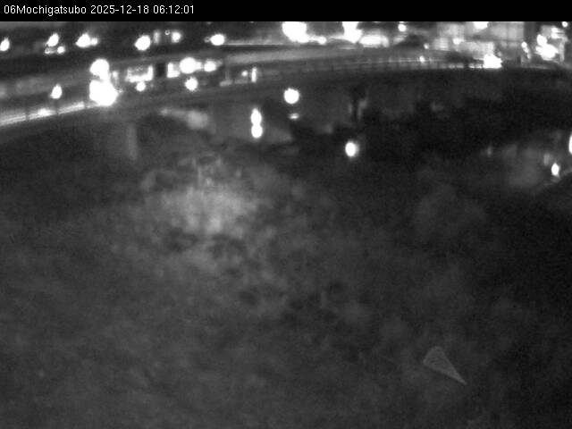 最新監視カメラ画像