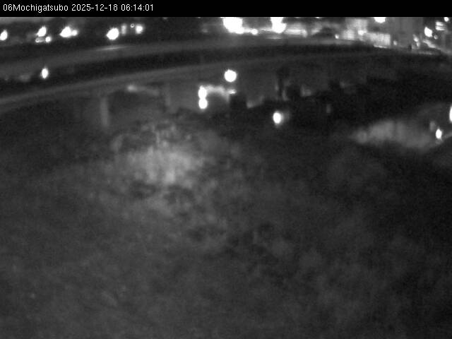 最新監視カメラ画像