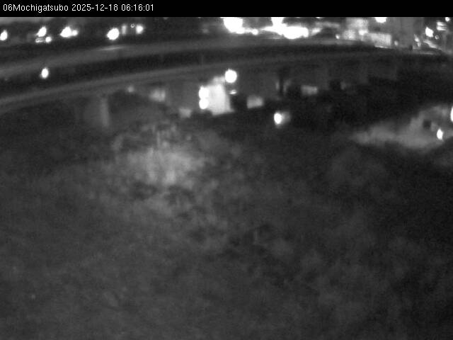 最新監視カメラ画像