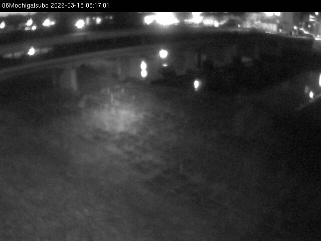 最新監視カメラ画像