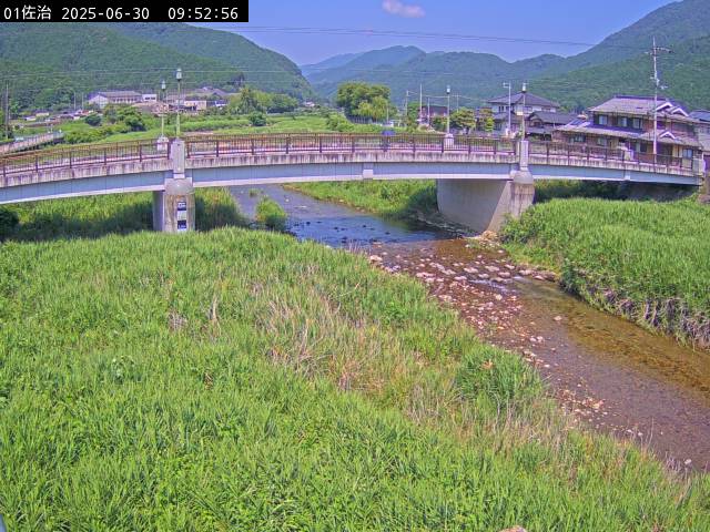 最新監視カメラ画像