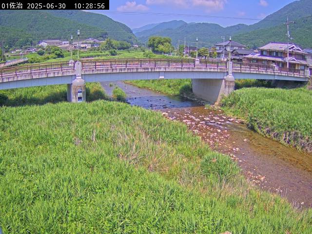 最新監視カメラ画像