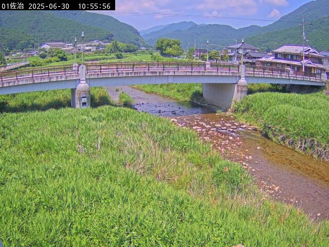 最新監視カメラ画像