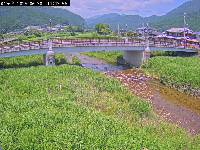 最新監視カメラ画像