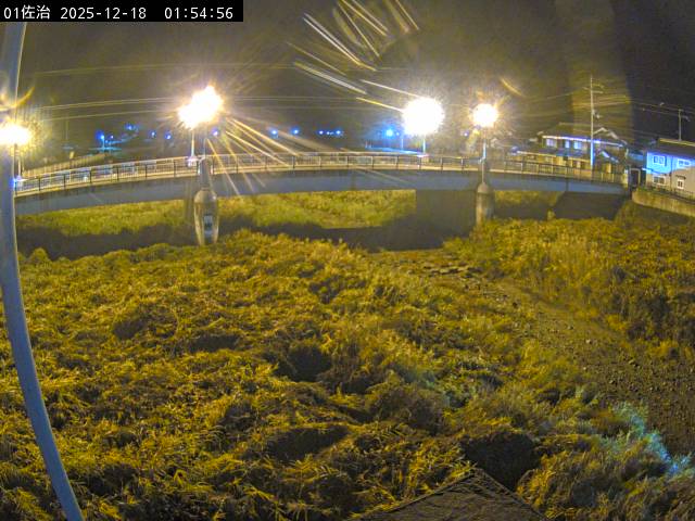 最新監視カメラ画像