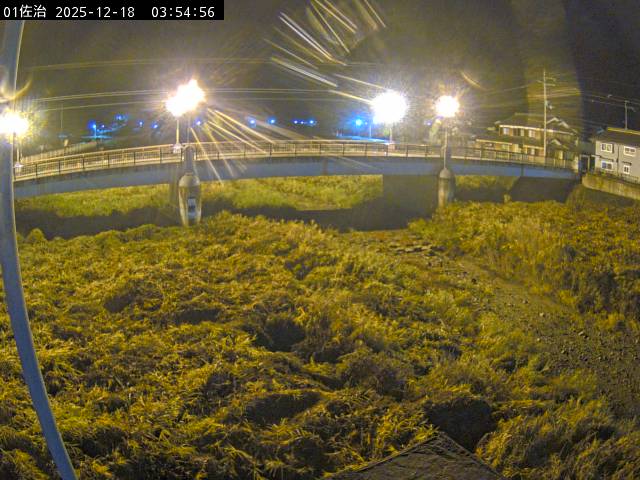 最新監視カメラ画像