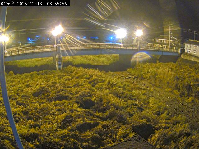 最新監視カメラ画像