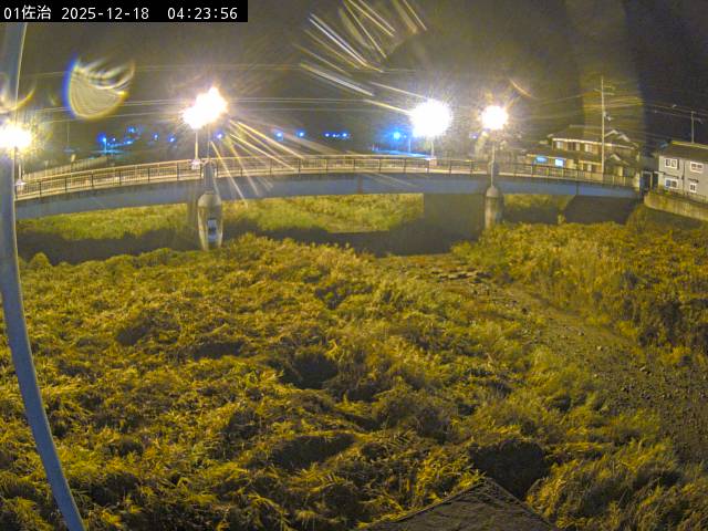 最新監視カメラ画像