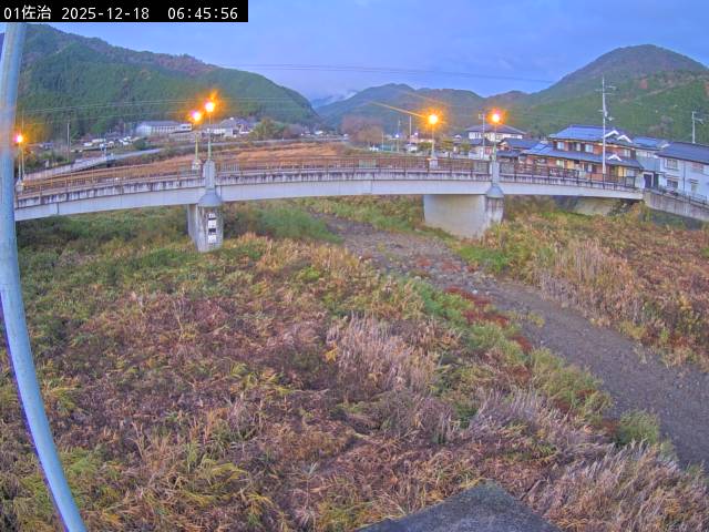 最新監視カメラ画像