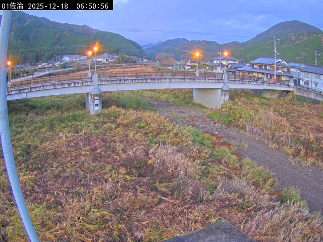 最新監視カメラ画像