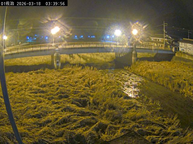 最新監視カメラ画像