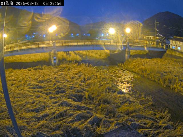 最新監視カメラ画像