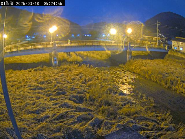 最新監視カメラ画像