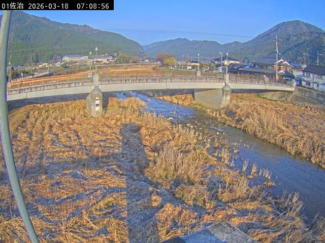 最新監視カメラ画像