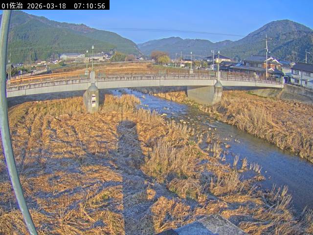 最新監視カメラ画像