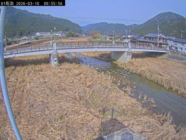 最新監視カメラ画像