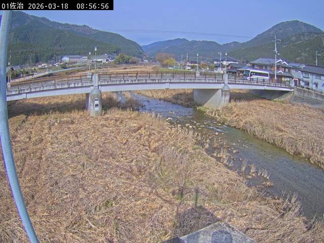 最新監視カメラ画像