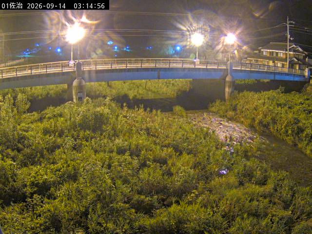 最新監視カメラ画像