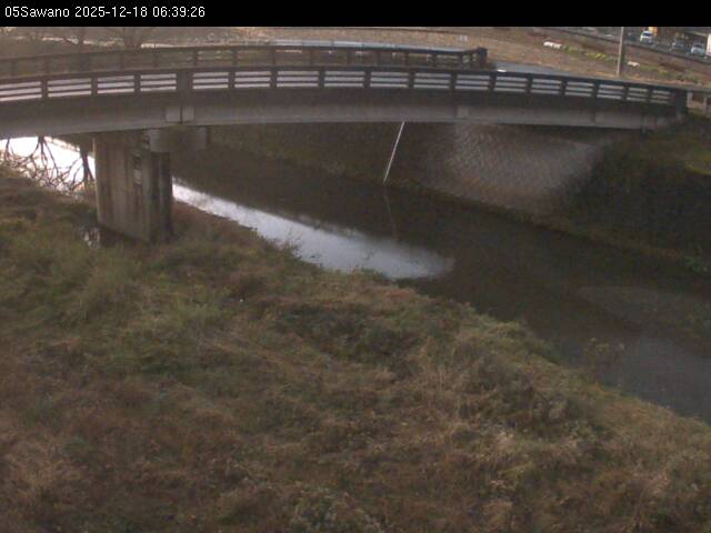 最新監視カメラ画像