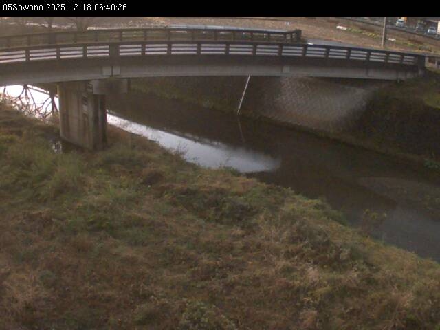 最新監視カメラ画像