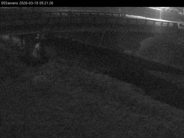 最新監視カメラ画像