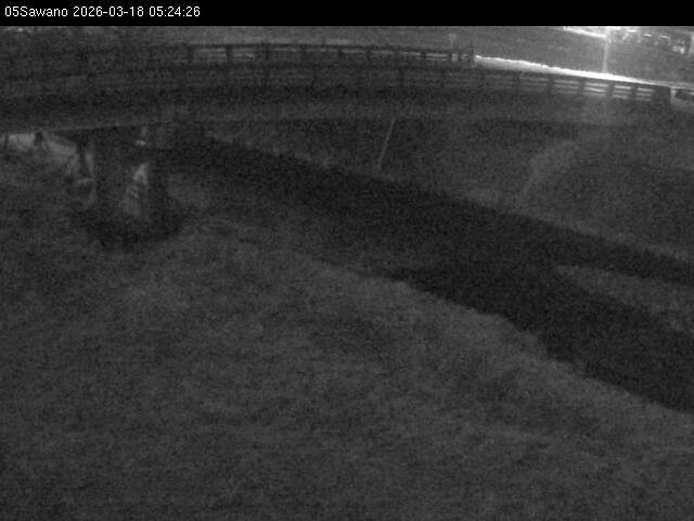 最新監視カメラ画像