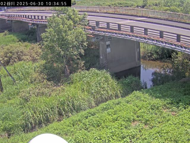最新監視カメラ画像