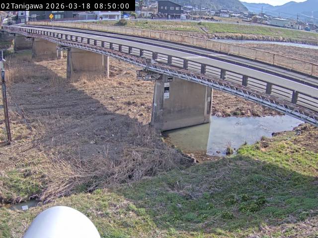 最新監視カメラ画像