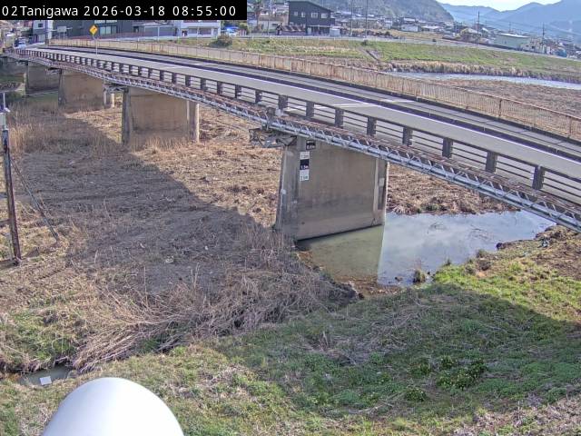 最新監視カメラ画像