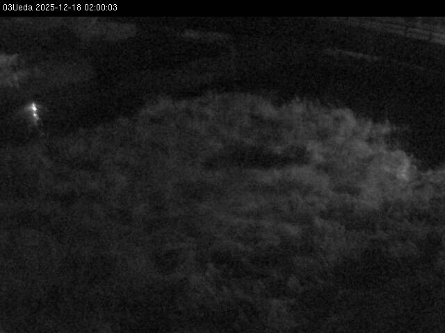 最新監視カメラ画像